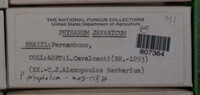 Image Associated With the Occurence